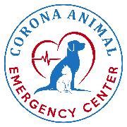 emergency vet|Corona Animal Emergency Center .